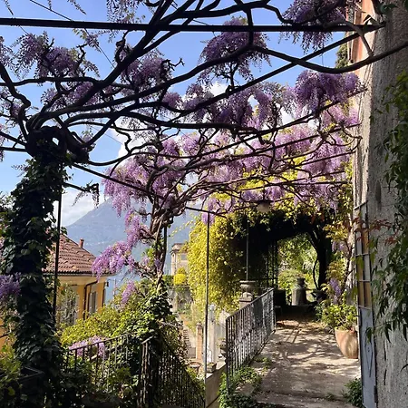 Albertina
